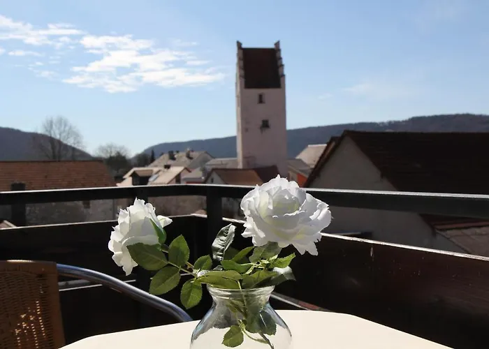 Zum Braeu-toni Hotel Dietfurt